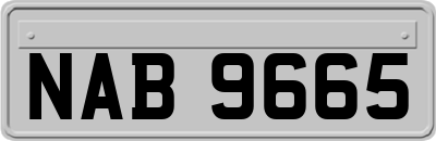 NAB9665