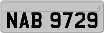 NAB9729