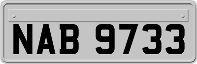 NAB9733