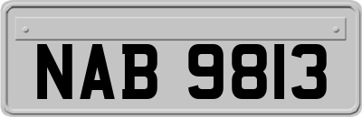 NAB9813