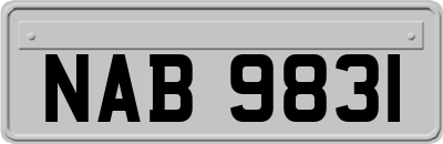 NAB9831