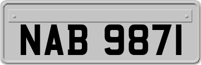 NAB9871