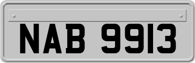 NAB9913