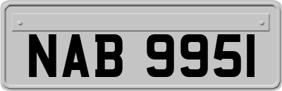 NAB9951