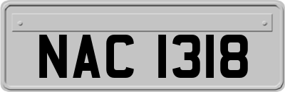NAC1318