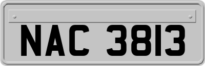 NAC3813