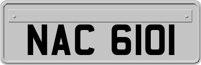 NAC6101