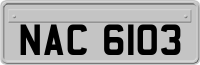 NAC6103