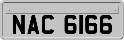 NAC6166