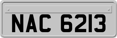 NAC6213