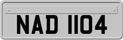 NAD1104