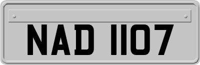 NAD1107