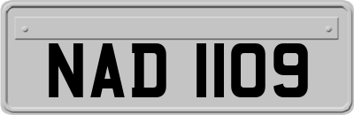 NAD1109