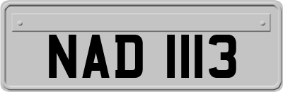 NAD1113