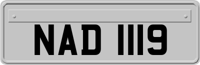 NAD1119