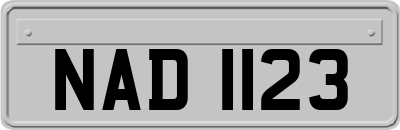 NAD1123