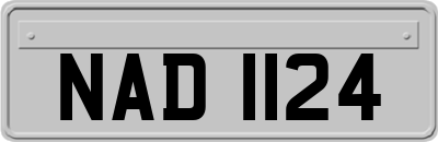 NAD1124