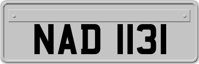 NAD1131