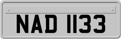 NAD1133