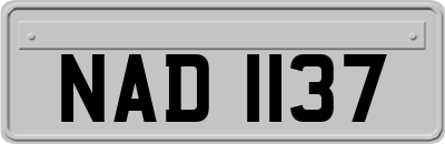 NAD1137