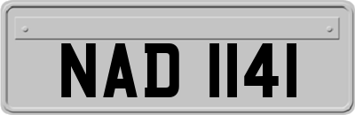 NAD1141