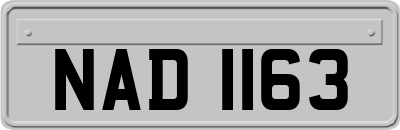 NAD1163