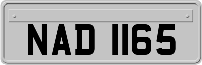 NAD1165