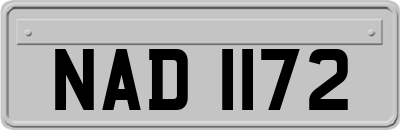 NAD1172