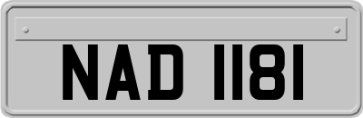 NAD1181