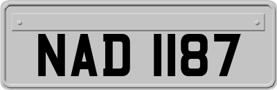 NAD1187