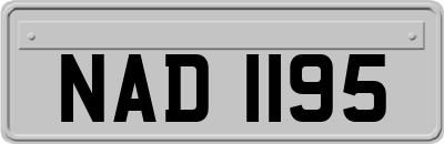 NAD1195