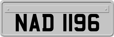 NAD1196