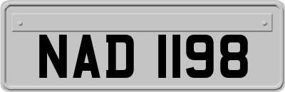 NAD1198