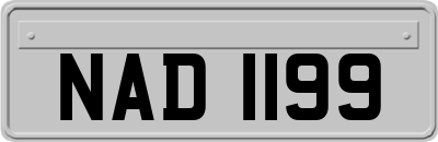 NAD1199