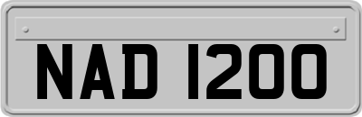 NAD1200