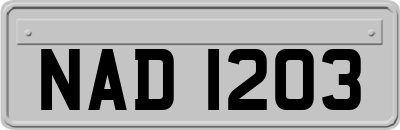 NAD1203