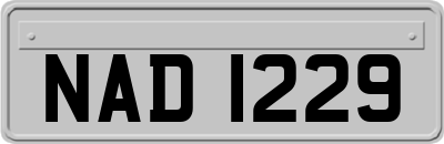 NAD1229