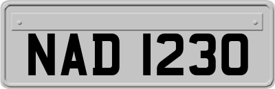 NAD1230