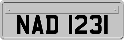 NAD1231