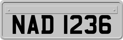 NAD1236