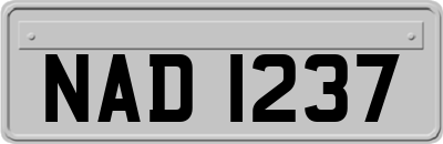 NAD1237