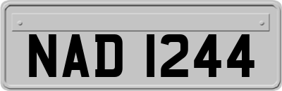 NAD1244