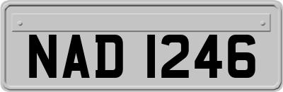 NAD1246