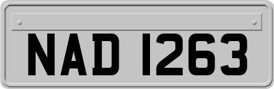 NAD1263