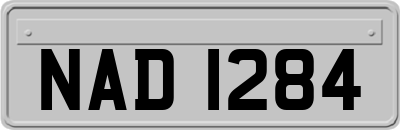 NAD1284