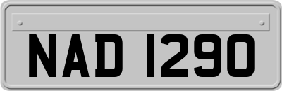 NAD1290