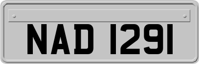 NAD1291