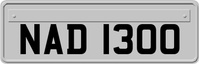 NAD1300