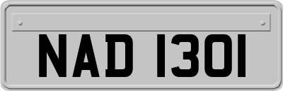 NAD1301