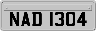 NAD1304